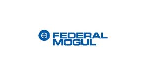FEDERAL MOGUL