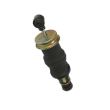 Perna de aer cabina MAN f2000
