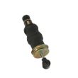 Perna de aer cabina MAN f2000
