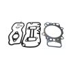 Kit garnituri diesel technic Scania