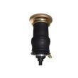 Perna de aer rubber master cabina Scania