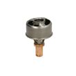 Termostat QH Renault