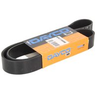 Curea transmisie Dayco  Daf