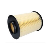 Filtru aer Mann Filter   Ford