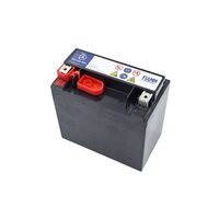 Acumulator auxiliar 12V 13AH 200A AGM Mercedes
