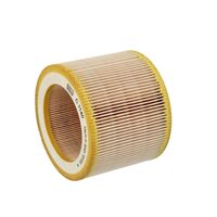 Filtru aer Mann Filter