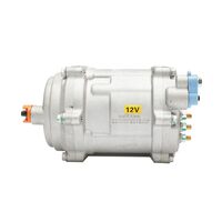 Compresor clima 12V pentru clima stationara universala Breckner