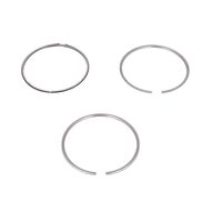Set segmenti standard Mahle Volvo