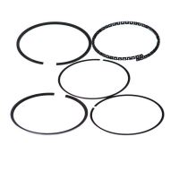 Set segmenti std ae perkins