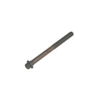 Surub placa presiune MAN 