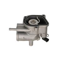 Termostat Mercedes  