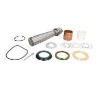 Set reparatie pivot Euroricambi Volvo 