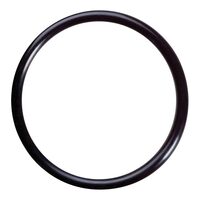 O-ring systek
