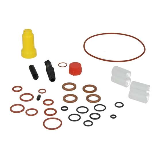 Set reparatie pompa combustibil Star 