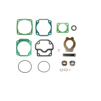 Set garnituri si lamele compresor Mercedes model Knorr lk1802 
