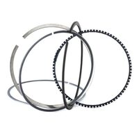 Set segmenti Goteze VW