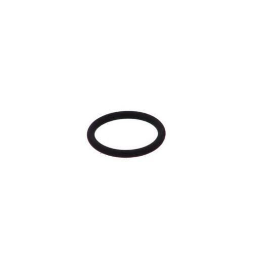 O-ring injector MAN 