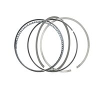 Set segmenti Goteze Renault