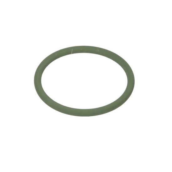 O-ring Diesel Technic