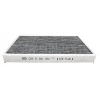 Filtru polen secundar cu carbon euro6 Volvo/Renault